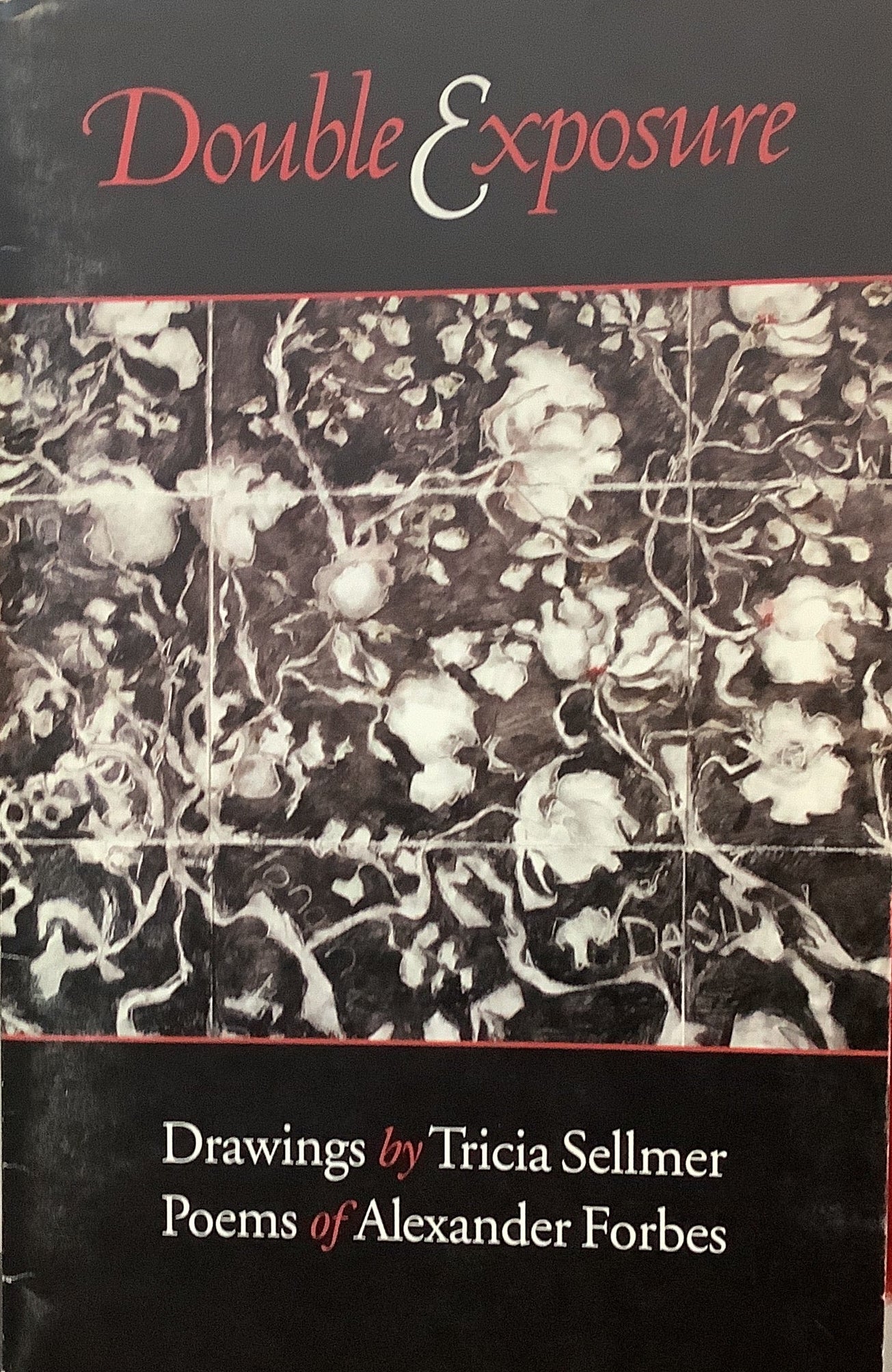 A person holding a black book of poems titled "Double Exposure" illustrated by Tricia Sellmer and written by Alexander Forbes.