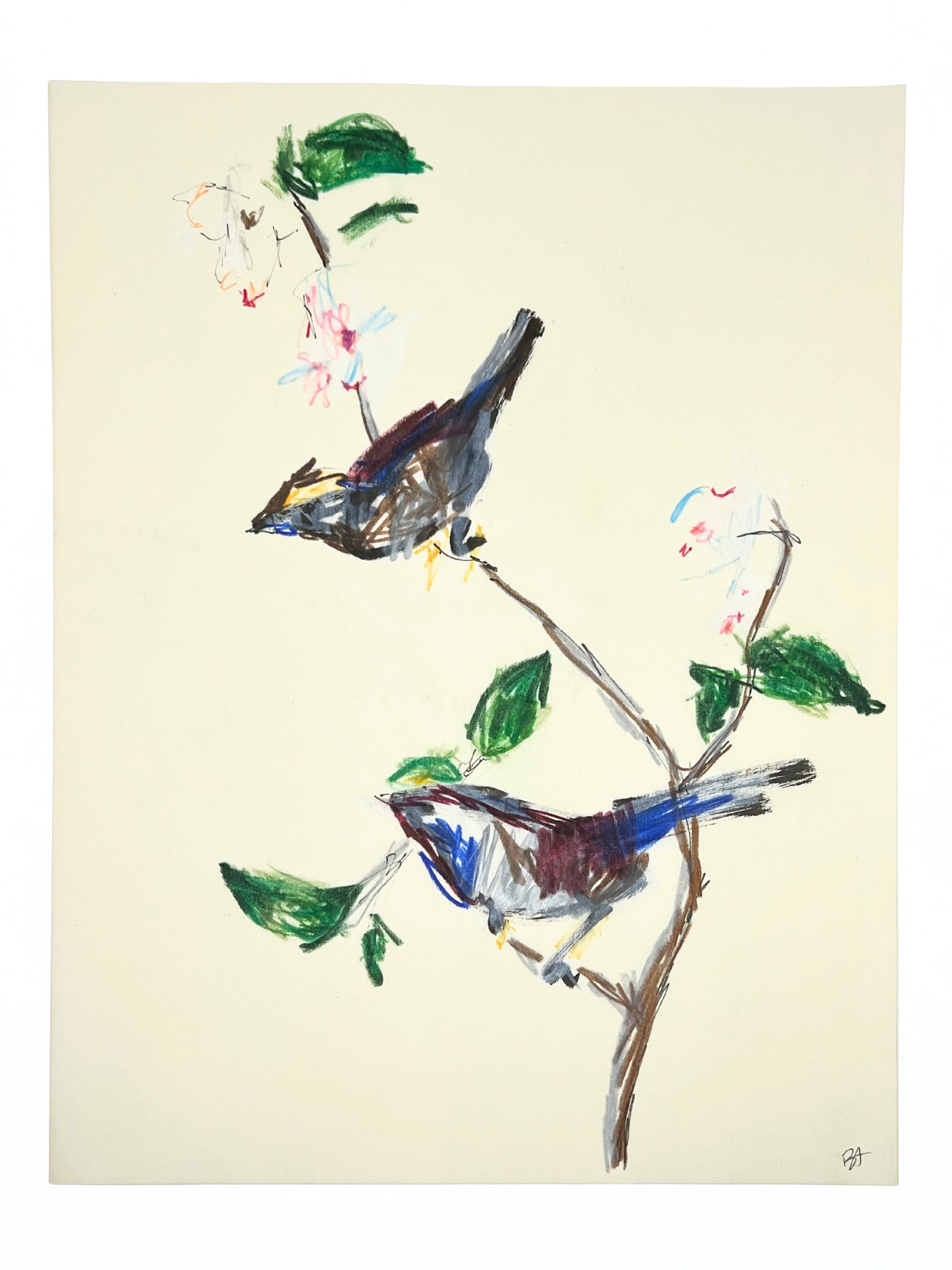 BIRDS DRAWING