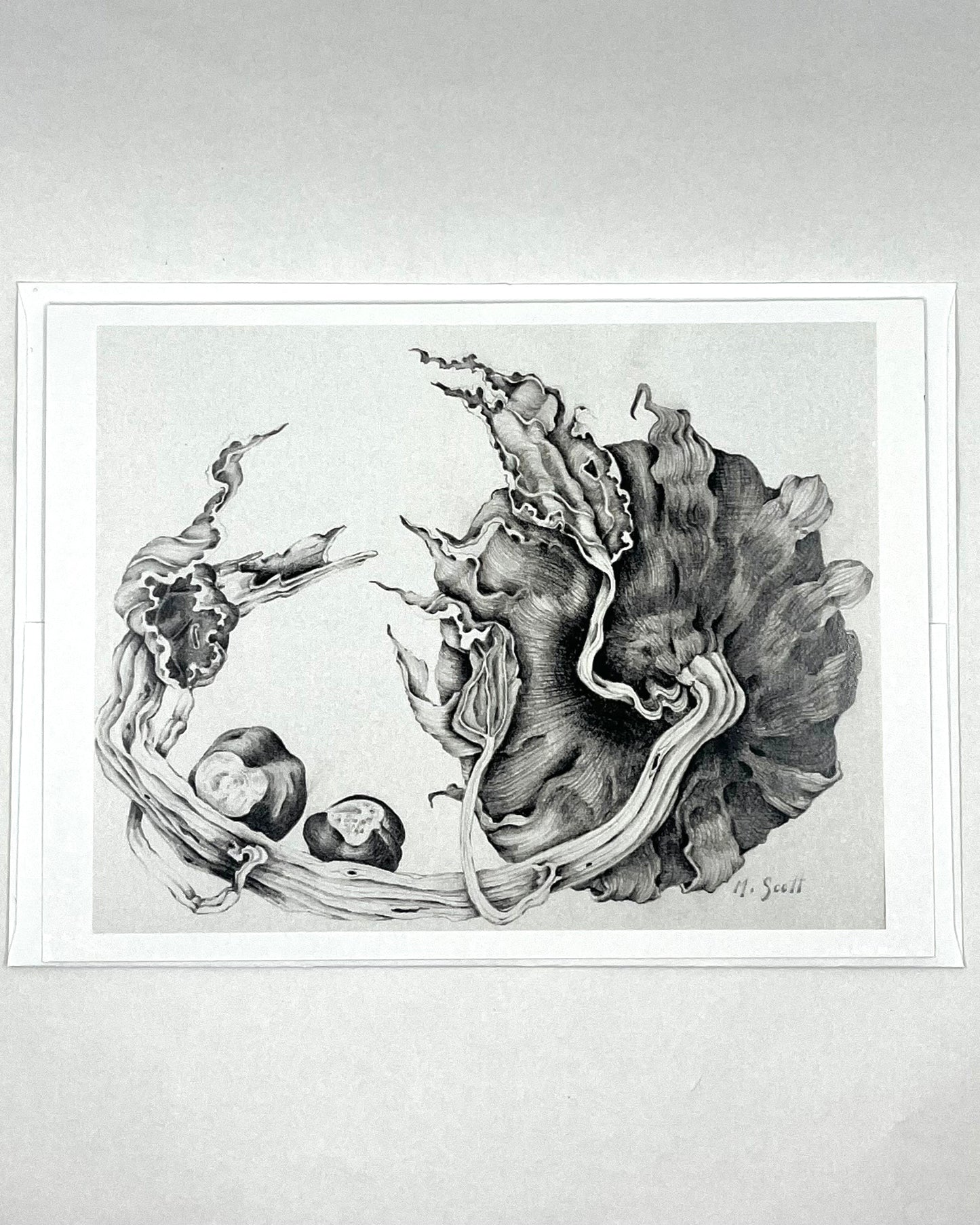 PERMANENT COLLECTION 40TH ANNIVERSARY CARDS