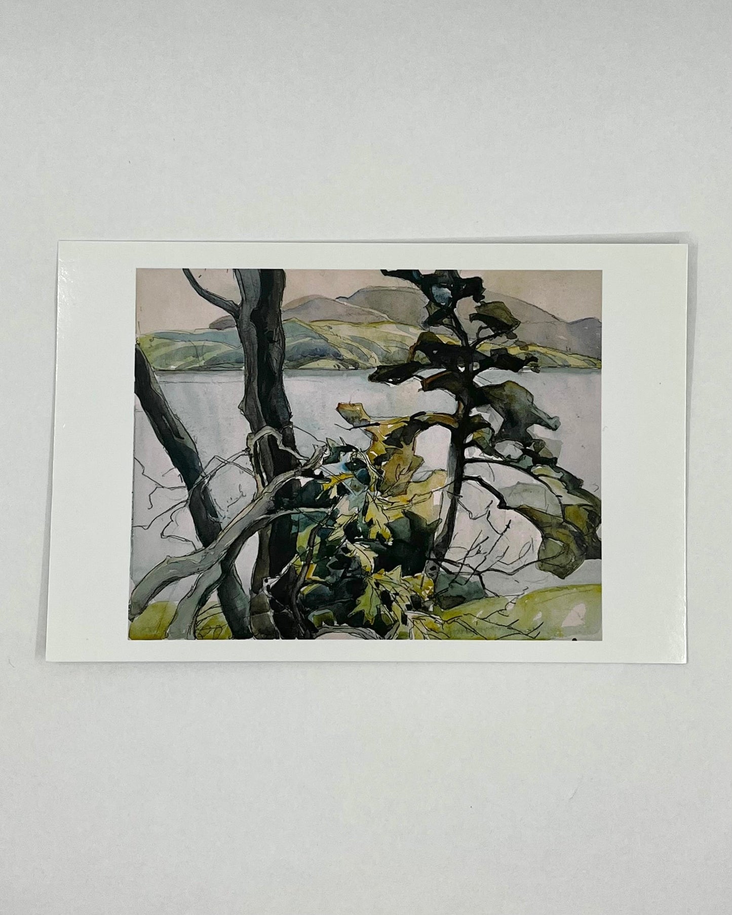PERMANENT COLLECTION CARDS