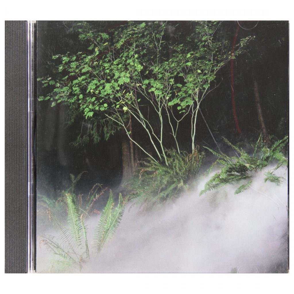 CD cover featuring a forest scene with fog, reflecting the artistic theme of the installation.