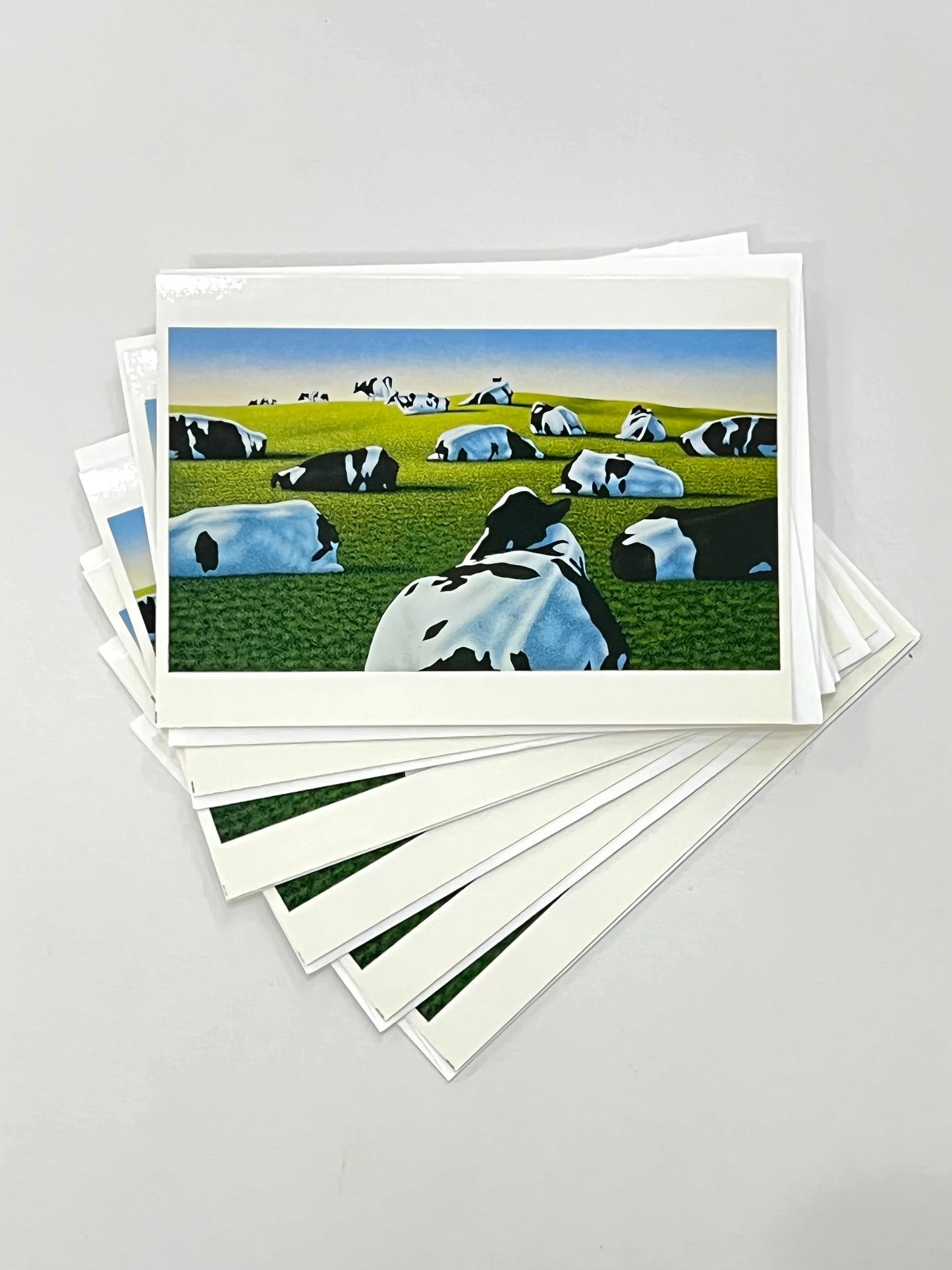 STEVE MENNIE 6 GREETING CARDS WITH ENVELOPES
