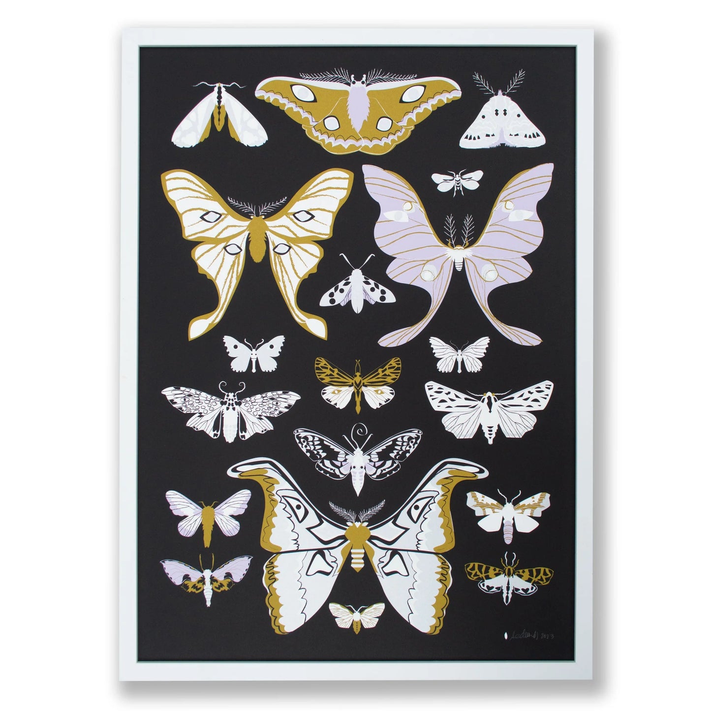 MOTHS SIGNED PRINT