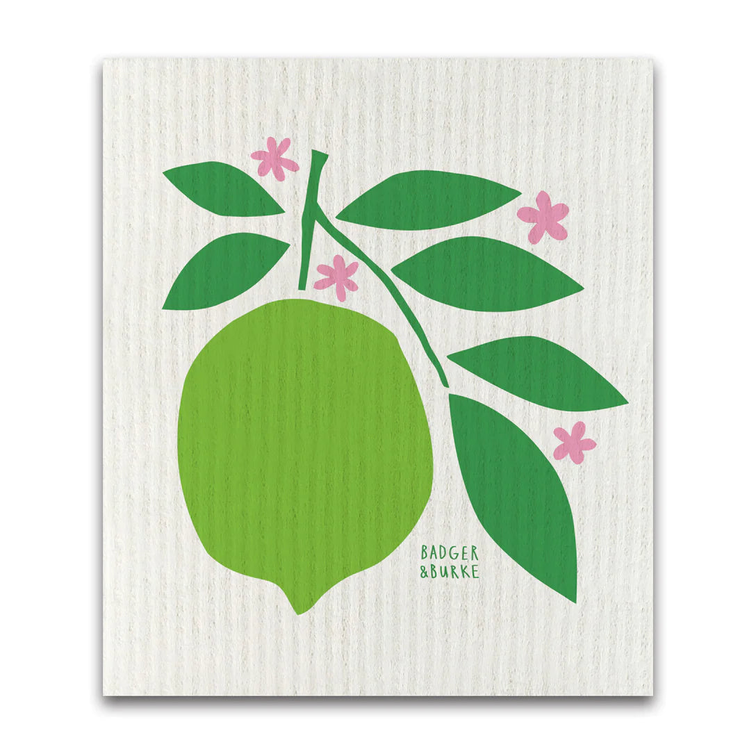 Lime sponge cloth