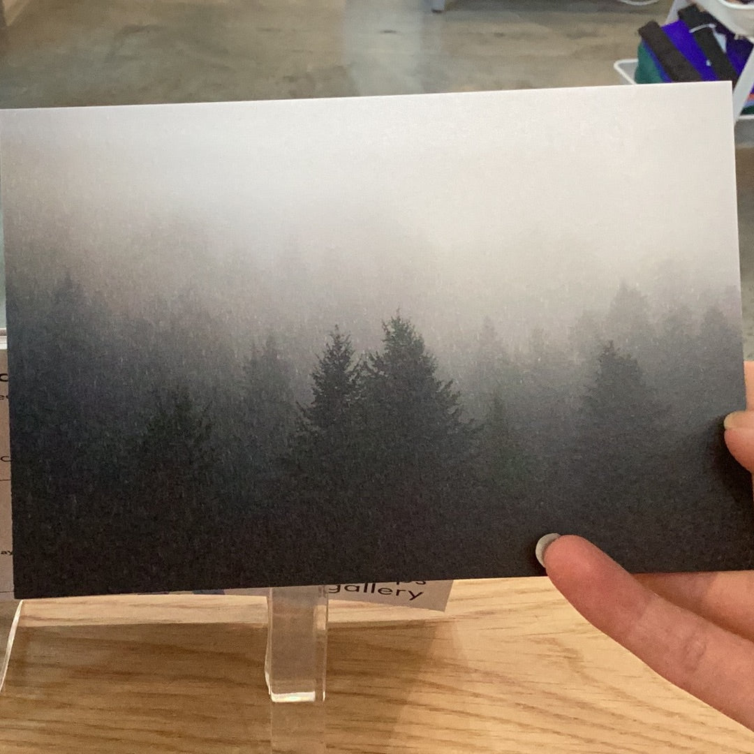 ASSORTED POSTCARDS // BY FRANK LUCAS CREATIVE
