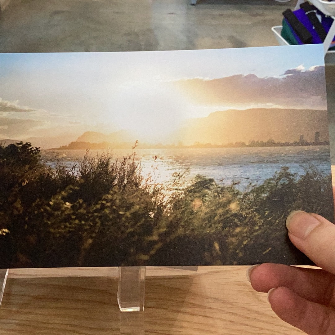 ASSORTED POSTCARDS // BY FRANK LUCAS CREATIVE