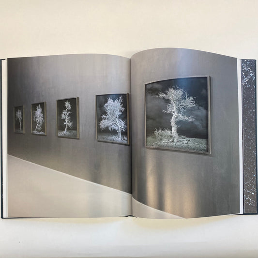 KELLY RICHARDSON: PILLARS OF DAWN