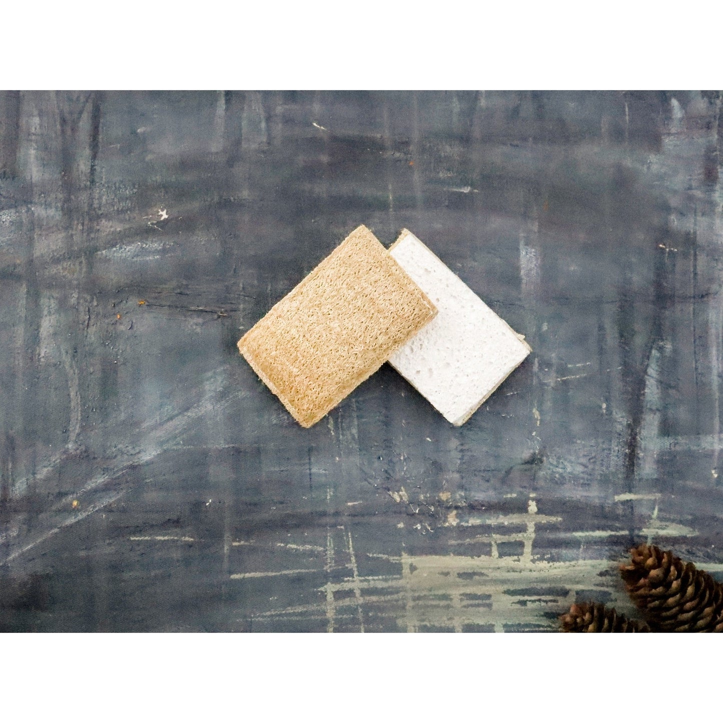 ECO SPONGE SET