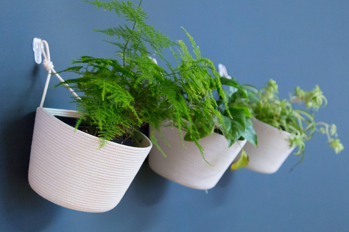 WALL HANGING PLANTERS