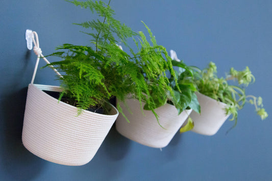 WALL HANGING PLANTERS
