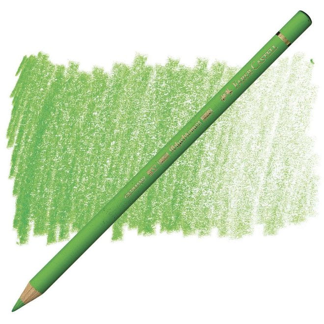 POLYCHROMOS INDIVIDUAL PENCIL CRAYONS - RAINBOW COLOURS