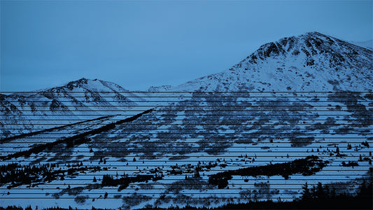 ALASKA VARIATIONS VINYL