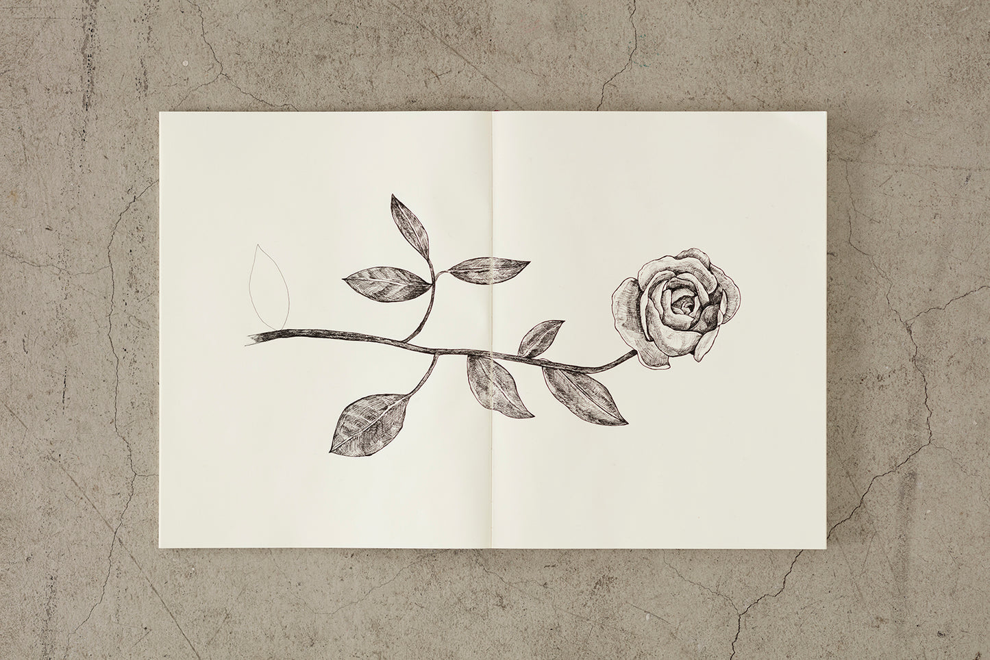 MIDORI A6 BLANK NOTEBOOK