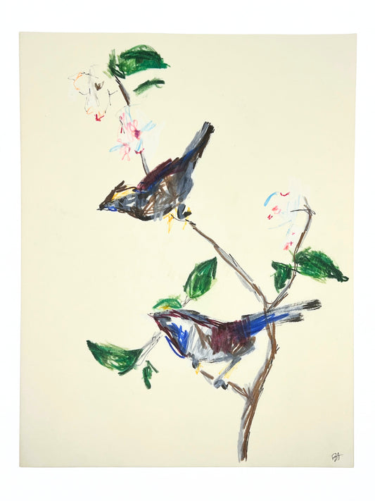 BIRDS DRAWING
