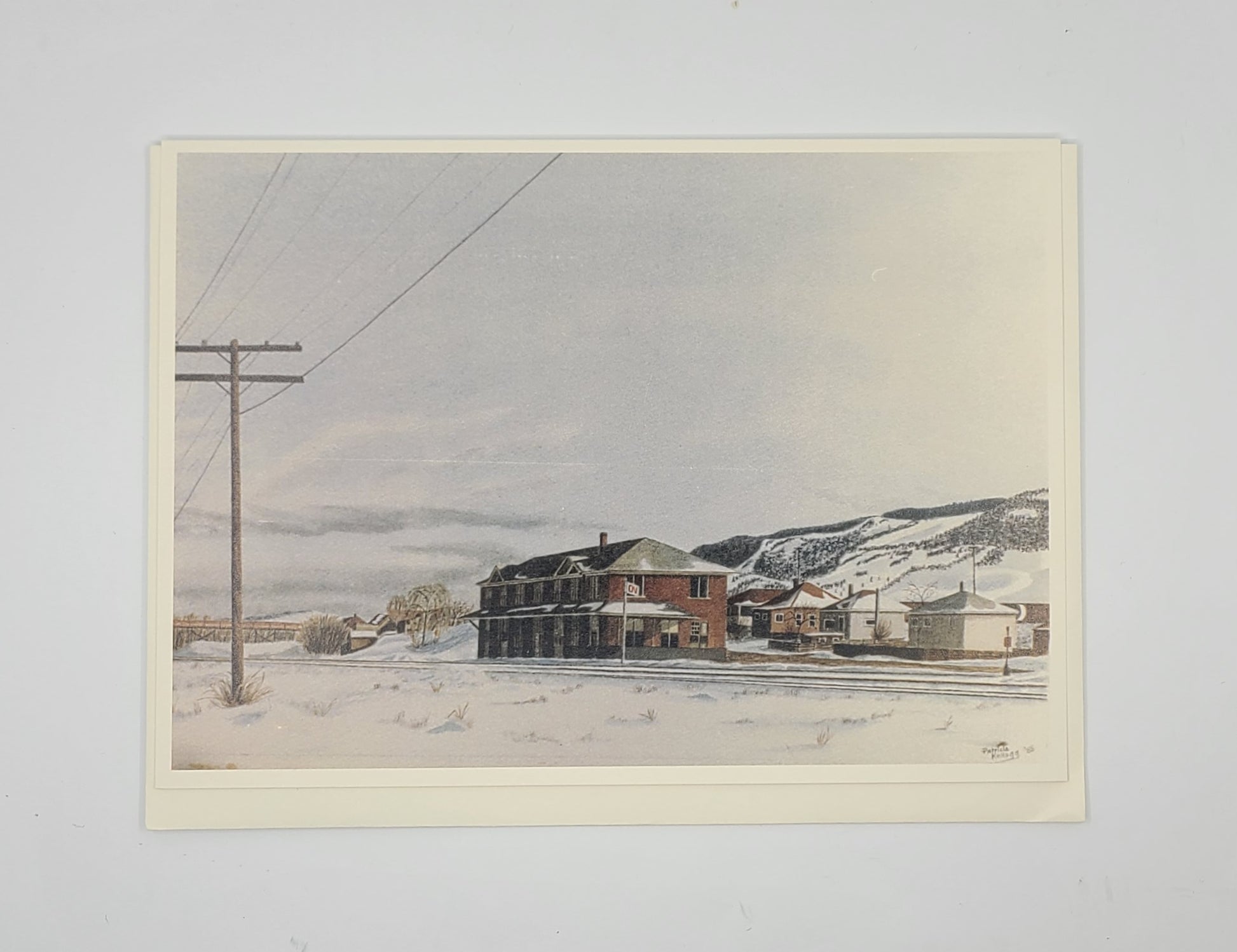 Winter scene with a house and telephone pole in a snowy landscape