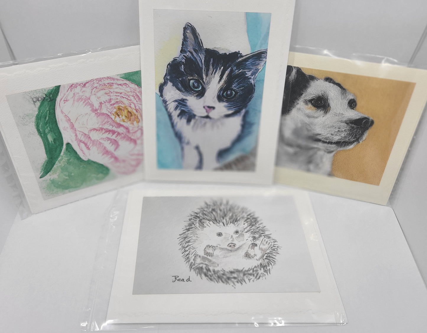 Set of greeting cards with animal illustrations on a white surface