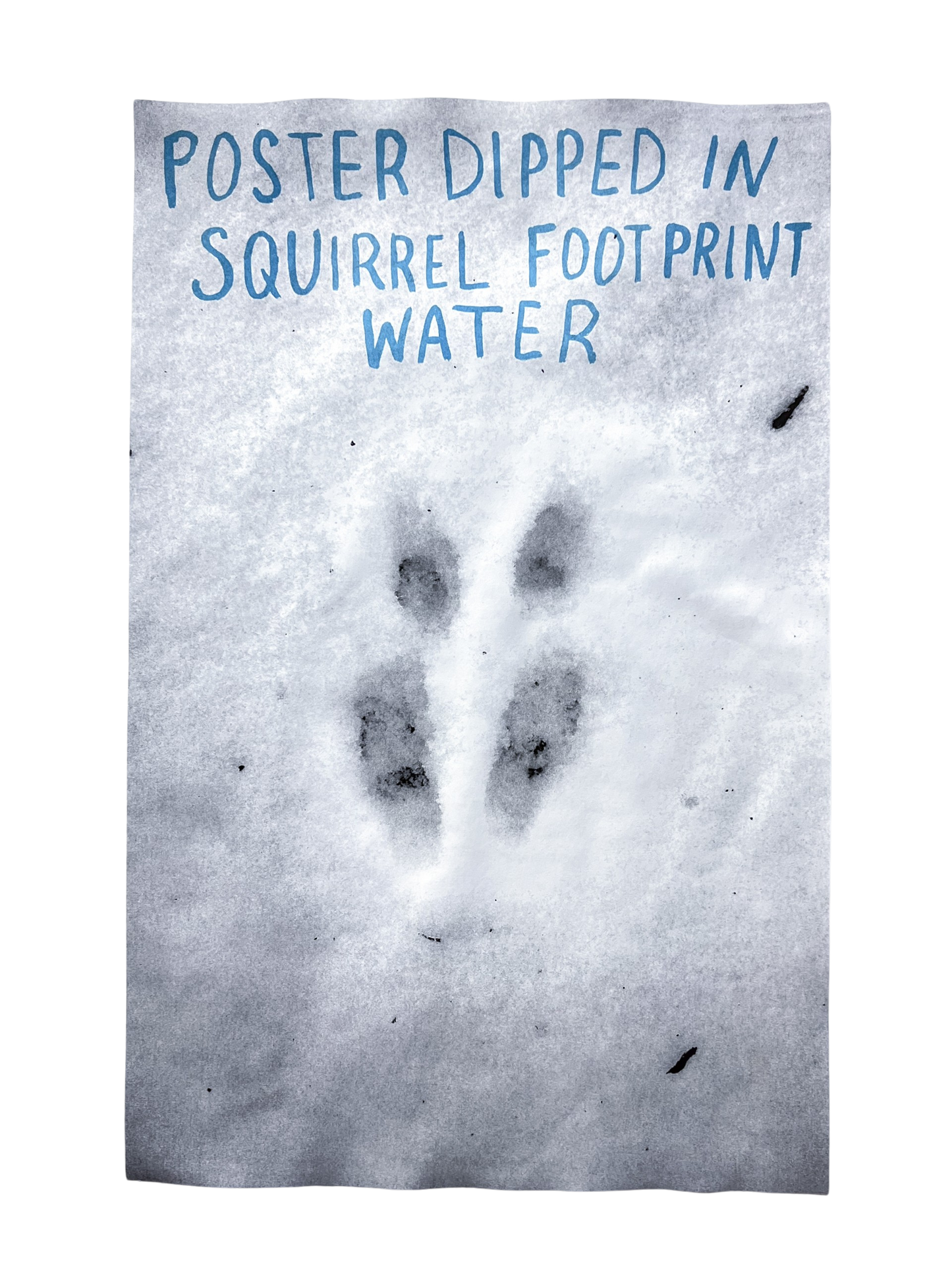 Poster Dipped In Squirrel Footprint Water