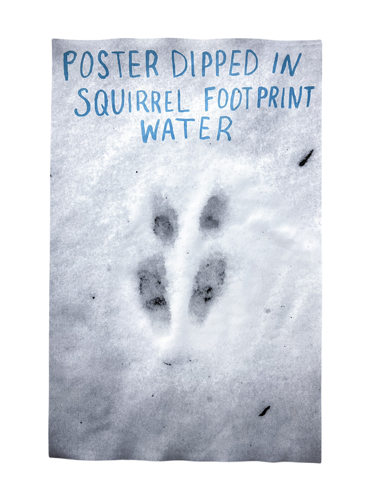 Poster Dipped In Squirrel Footprint Water