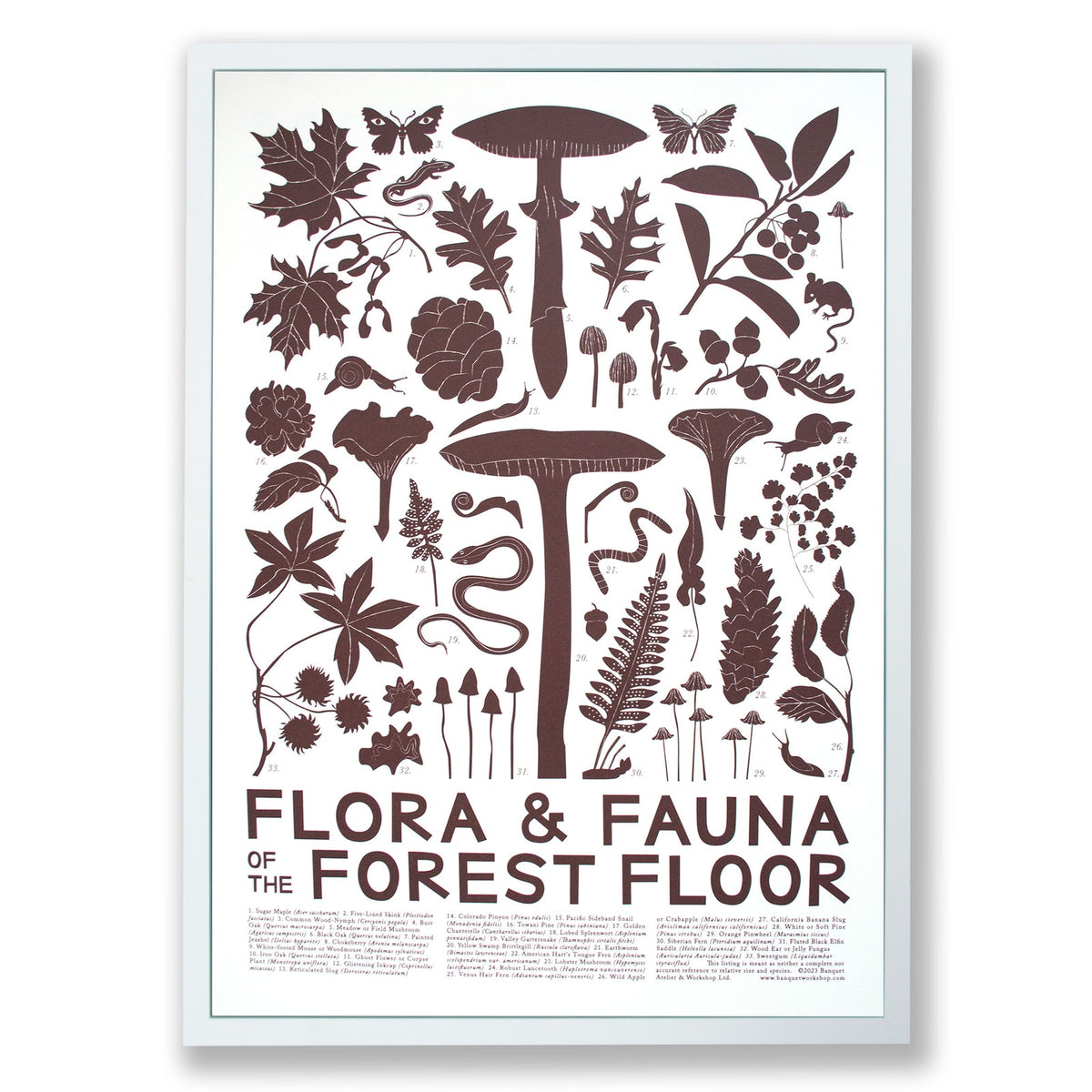 FLORA & FAUNA OF THE FOREST FLOOR // SCREENPRINT