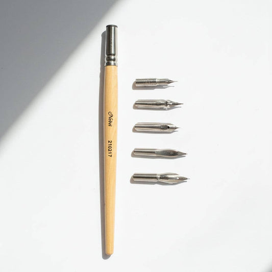 Calligraphy Pen Nibs and Holder Set with Metal Ferrule