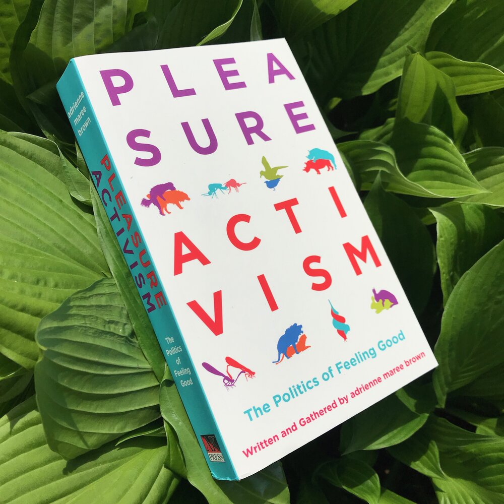 PLEASURE ACTIVISM: THE POLITICS OF FEELING GOOD