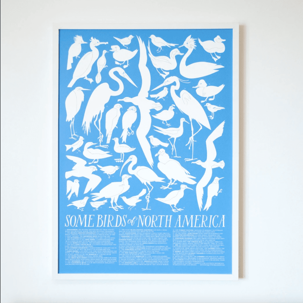 BIRDS OF NORTH AMERICA PRINT